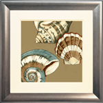 Small Shell Trio on Khaki II