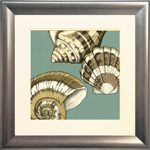 Small Shell Trio on Blue II