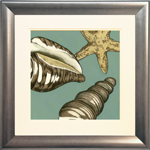 Small Shell Trio on Blue I