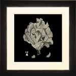 Black & Tan Coral IV