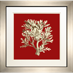 Coral on Red IV